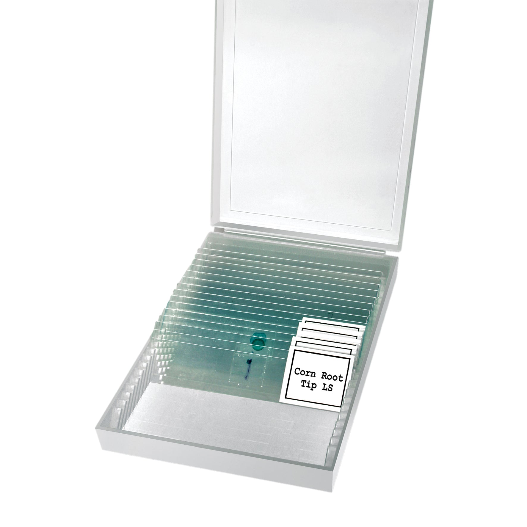 Microscope Bresser Erudit MONO 40X-400X - 51-02100