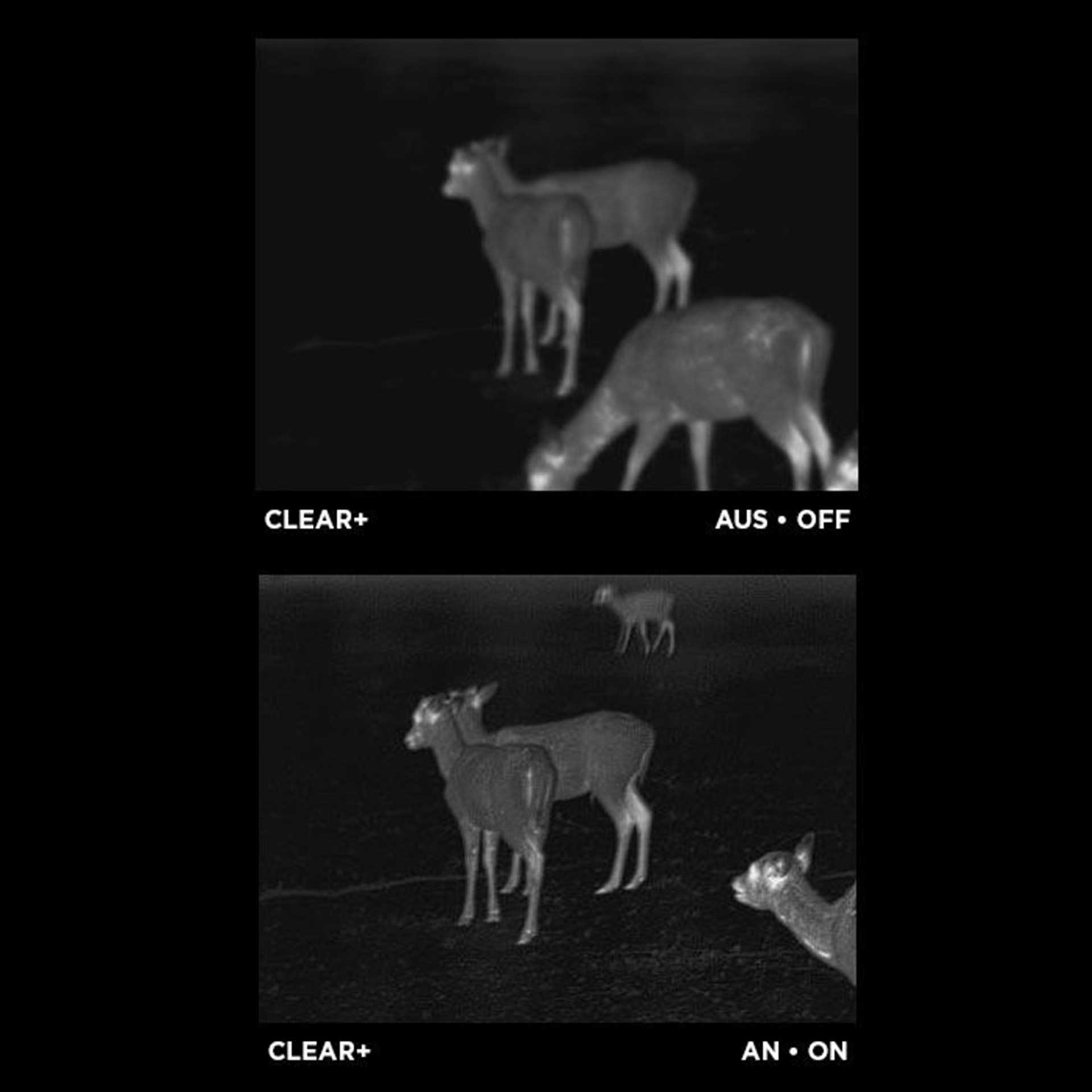 Apex 25mm Thermal Monocular