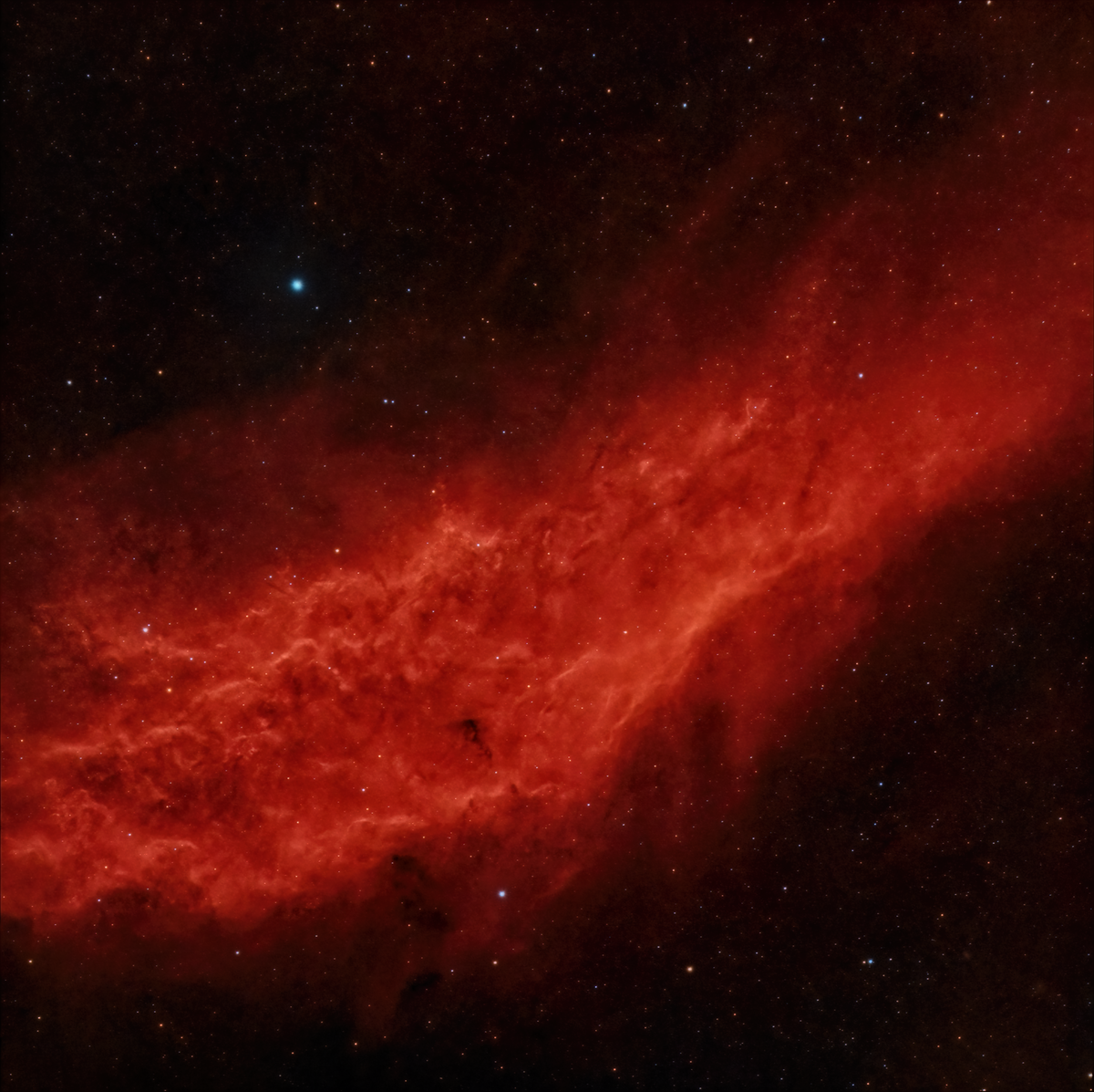 California Nebula astrophotography