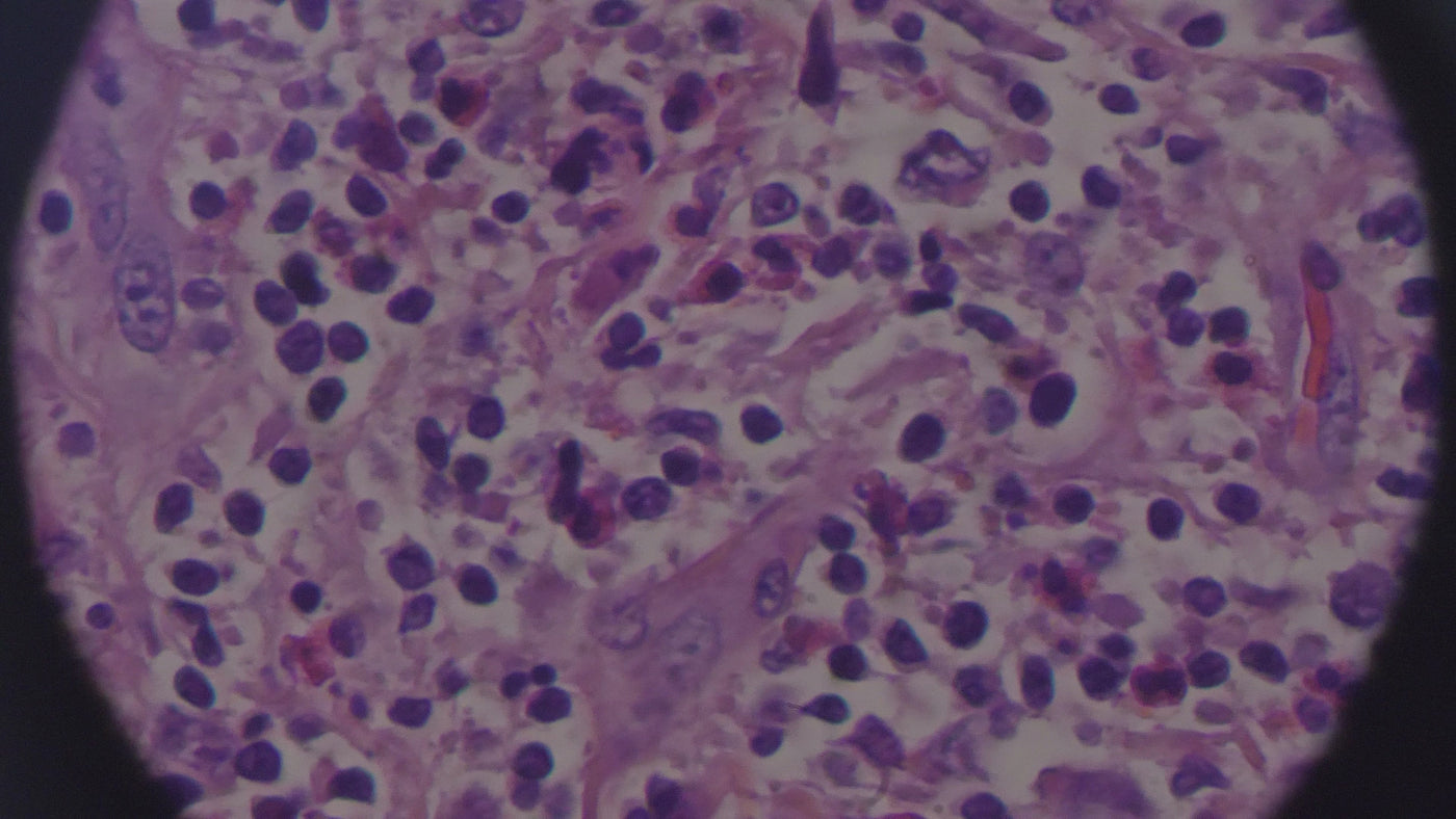 a purple and white cell