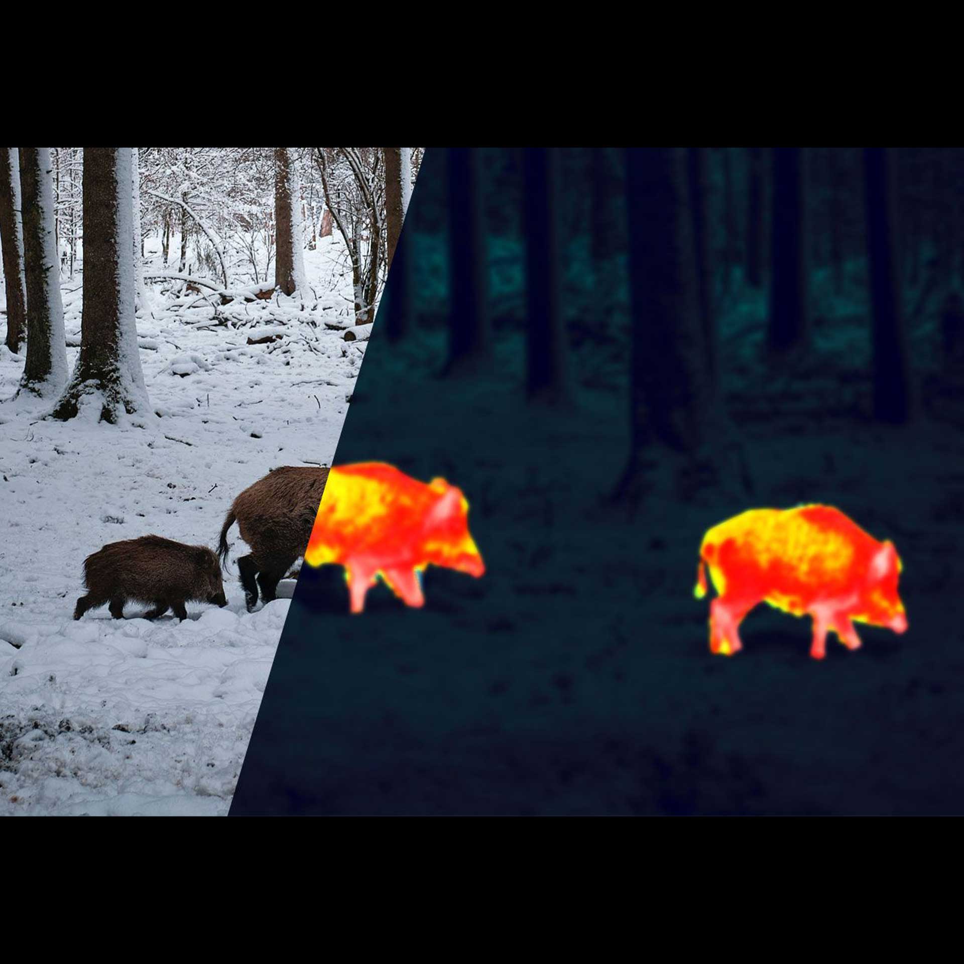 Apex 54mm Thermal Monocular