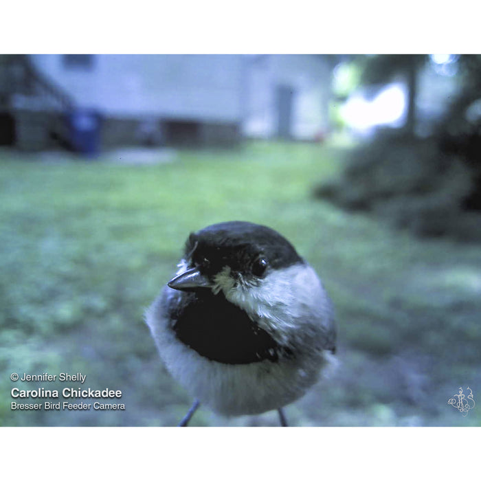 Bresser Bird Feeder Camera
