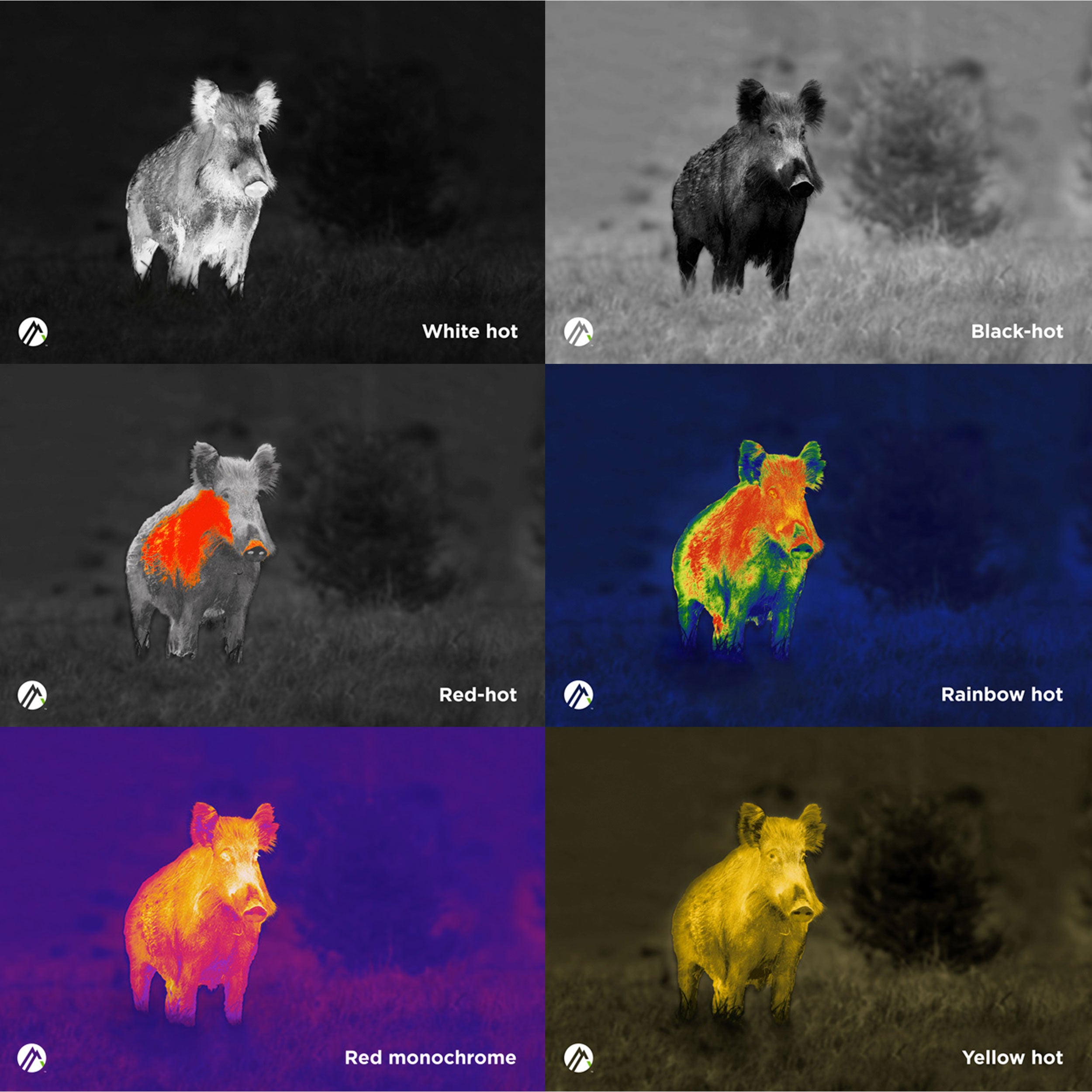 Apex 54mm Thermal Monocular