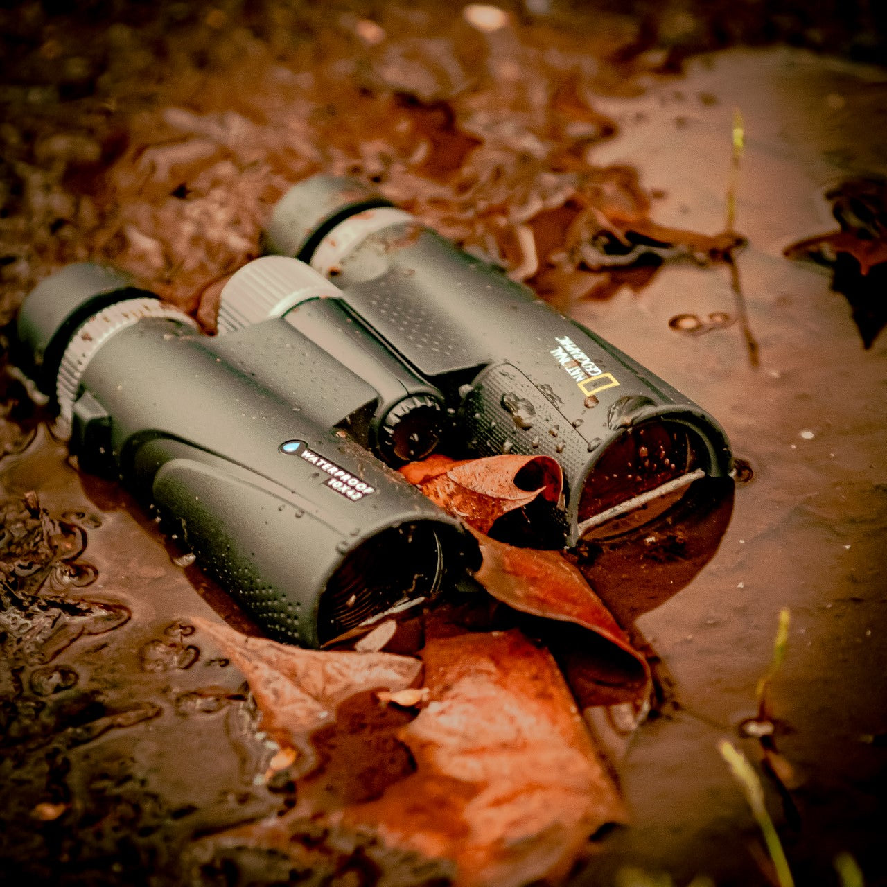 10x42 Waterproof Performance Roof Binoculars and Harness